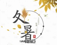 啥？今年夏天就过到这儿了？然后呢……