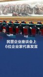 民营企业座谈会上，6位企业家代表发言