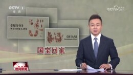 为让帛书回家 从个人到国家付出了哪些努力？