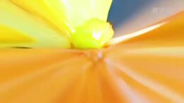 洞庭湖畔河市油豆腐炖肉 最是家乡味