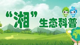 环保科普课堂 | 神奇的朴树