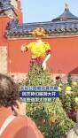 天坛公园菊花展开幕，园艺师们脑洞大开