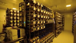 “小鼠航天员”选拔Vlog上线，飞天前要“过五关斩六将”