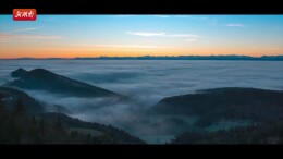 《智媒浪潮下的新闻新力量》——青春合伙人项目研讨会宣传片