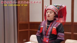 湖南省第十一次文代会·代表声音｜曾璐：让民族文化在校园“活”起来