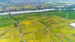 视频｜端好湖南饭碗 共护大国粮仓 湖南省“十大技术攻关项目”实施五周年