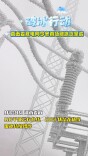 视频|直击娄底电网今冬首场融冰攻坚战