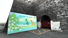 鞭牛迎春承古礼 京韵民俗润新春