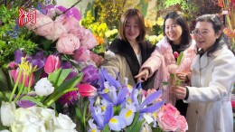 花香溢新春 购花迎佳节