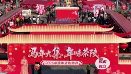 茶陵马年大集暖民心 桃坑媳妇周琳用双手创造新生活