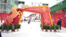 中国科技馆推出春节主题科普活动