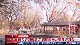 白天游园夜赏灯，圆明园新年氛围感拉满