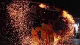 火星龙舞、杂技非遗，炎帝陵年味拉满