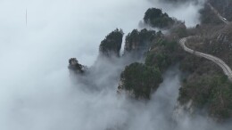 云海漫卷峰林！武陵源天子山春日云海上线