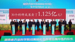30个科研成果卖了1.125亿元