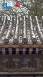 雪雾里的颐和园清冷又温柔