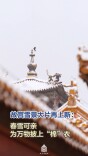 故宫雪景大片再上新：春雪可亲，为万物披上“棉”