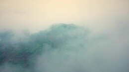 3・15 守护舌尖安全｜孙悟空火眼金睛辨好油，认准湖南茶油更安心