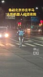 备战北京亦庄半马，人形机器人组团夜跑
