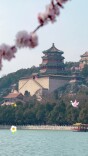 乘船穿行颐和园西堤，两岸桃花如云