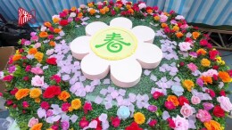 共赴春日盛会之约