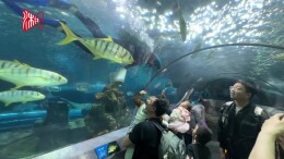 踏青解锁海洋闲修新趣