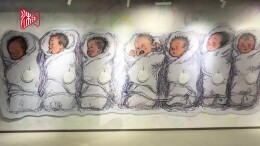 赴一场童心童梦的奇幻之旅艺术展