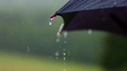 一盏春色——春日养生好物调制指南