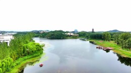 北京槐树王曾是村民救命树
