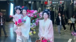 春日花仙巡游，大围山杜鹃花季本月启幕