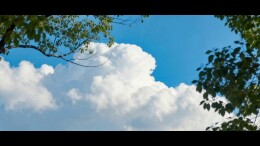 浪浪小妖怪的创业百宝箱：在湖南创业，也太爽了吧！