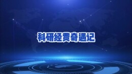 科研经费奇遇记