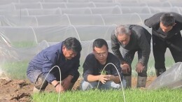 田间开课堂 育秧技术送上门