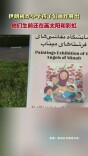 伊朗被炸小学孩子们画作展出，他们生前还在画太阳和彩虹