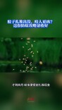 今日科普｜蚊子扎堆出没，咬人更凶？这份防蚊攻略请收好