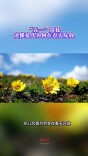 今日科普｜五一赏花，读懂花儿为何在春天绽放