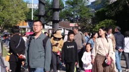 文艺赋能假日！798生活节开启沉浸式休闲新体验