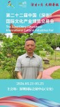 相约深圳文博会｜非遗糖油粑粑，一口湘式甜香