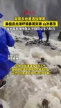 暴雨突袭 桑植县龙潭坪镇干群同心全力防汛