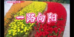 关爱自我、向阳生长！长沙高新技术工程学校、湘江新区南雅求实中学专属心理歌曲《一路向阳》引师生传唱