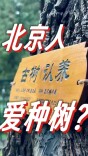 抢疯了！北京约2000棵树一个月全部被认养