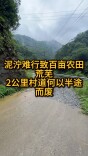 记者行动丨泥泞难行致百亩农田荒芜，2公里村道何以半途而废
