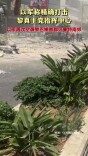以军称精确打击黎真主党指挥中心