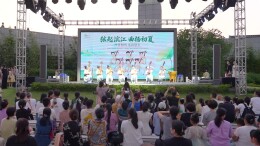 少儿琵琶公益演出奏响古韵新声
