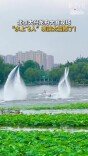 北京大兴龙舟大赛现场，“水上飞人”表演太震撼了！
