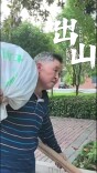 出山！8个土鸡蛋里，藏着新化大山里的“蛮与刚”