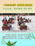 大通湖区千山红镇：巧手裹出“邻里情”，爱心传递“文明风”