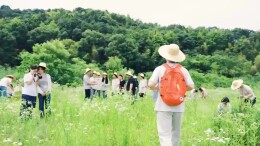 识草辨药、化身江湖百晓生|湖南中医药大学宝藏课堂