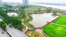 一半稻田一半园 李家湖城市稻田公园雏形初显