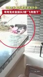 印度6岁男孩被流浪狗扑倒，哥哥见状直接从2楼“飞身而下”